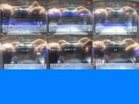 Thumbnail 20